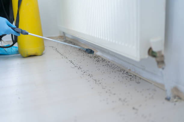 Best Pest Prevention Services  in Winslow, AZ